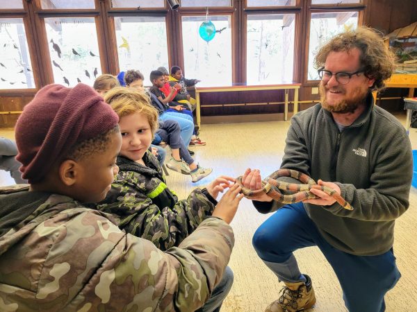 Scales, Scutes & Skins