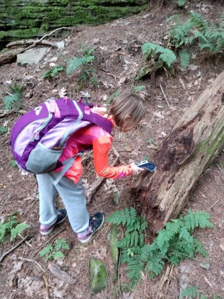 Microclimates on Blackhawk Island