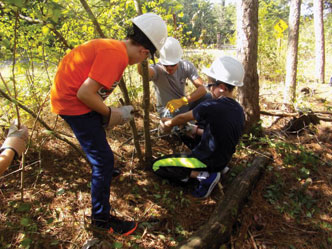 Three people working in a wooded area