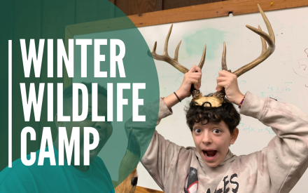 Winter Wildlife Camp