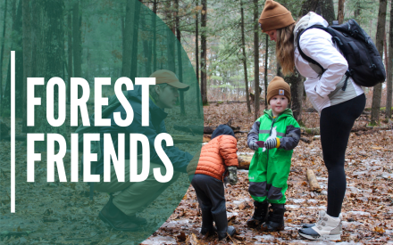 Forest Friends ECNC