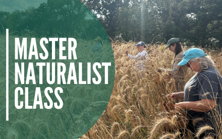 Master Naturalist Class