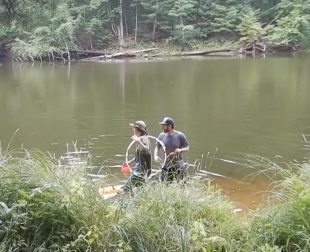 Two people standing in a river carrying tubing behind tall grass