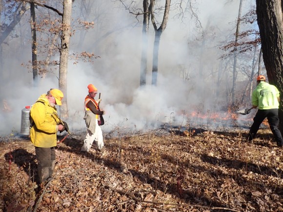 Two prescribed fire workers using backpack water pumps to control a prescribed fire in a woodland